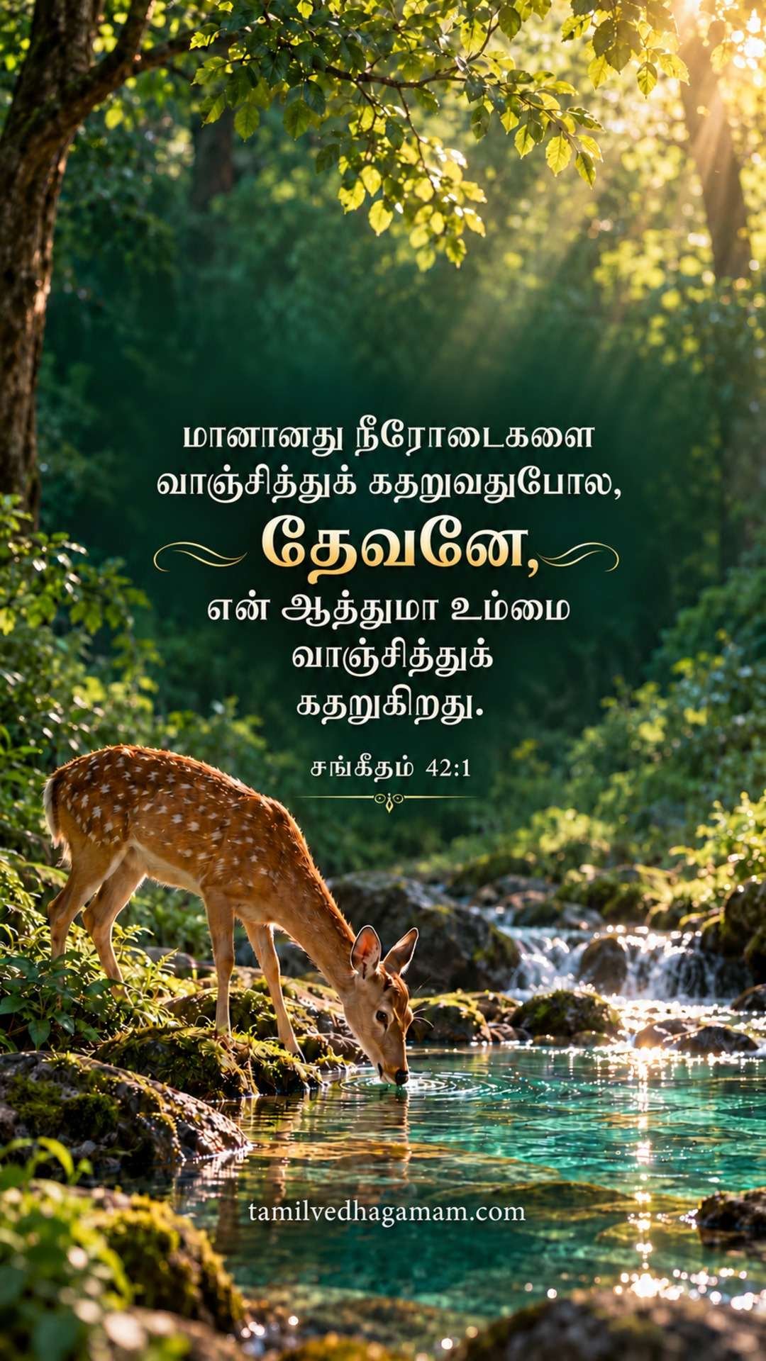 சங்கீதம் 42:1 (Psalms 42:1): மானானது நீரோடைகளை வாஞ்சித்துக் கதறுவதுபோல, தேவனே, என் ஆத்துமா உம்மை வாஞ்சித்துக் கதறுகிறது. · 27 October 2026